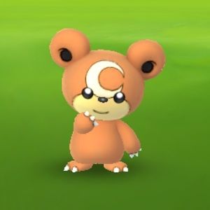 Meet your Posher, Evan